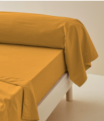 Percale bolster case Miel