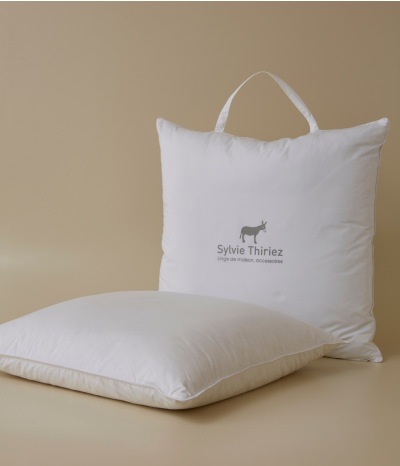 Pillows Chambre n°6 ( down and feather)