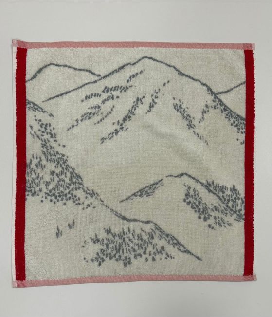 Hand towel sponge Grandeur nature