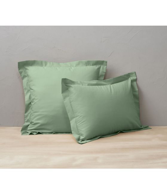 Cotton Vert romarin
