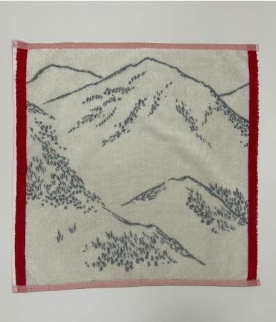 Hand towel sponge Grandeur nature