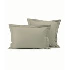 Coton Chamois