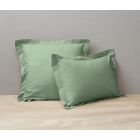 Coton Vert romarin