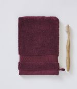 Gant de toilette Prune