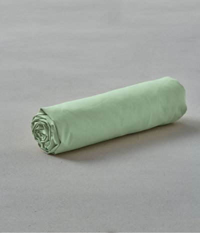 Drap housse coton Vert romarin