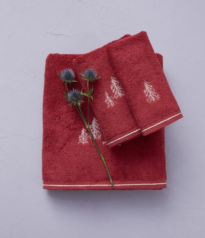 Cimes rouge