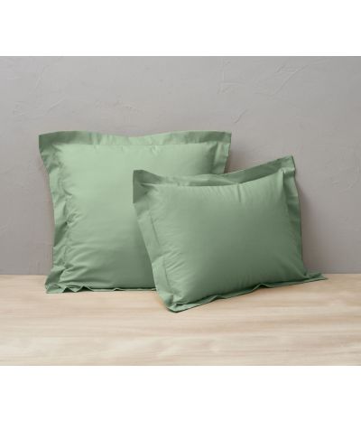 Coton Vert romarin