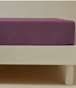 Drap housse coton violet raisin