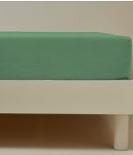 Drap housse coton Vert romarin