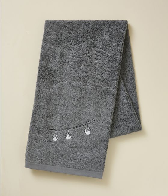 Shower sheet Rdv au sommet gris