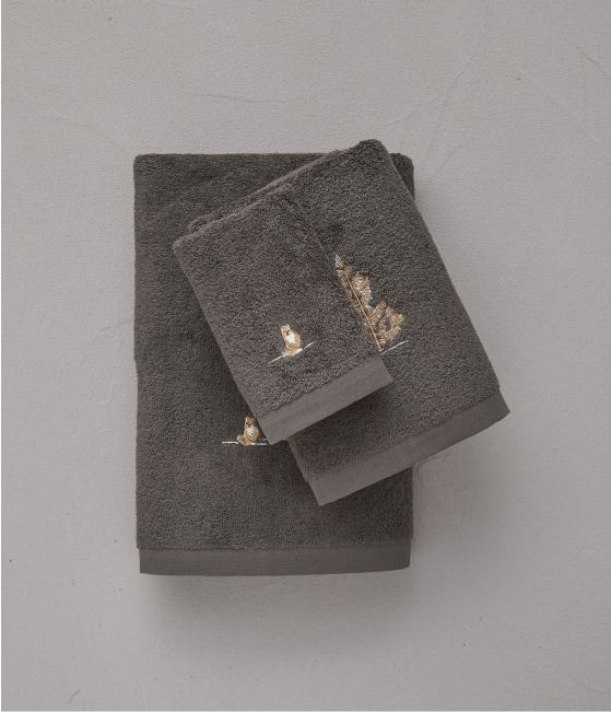 Cache-cache gris